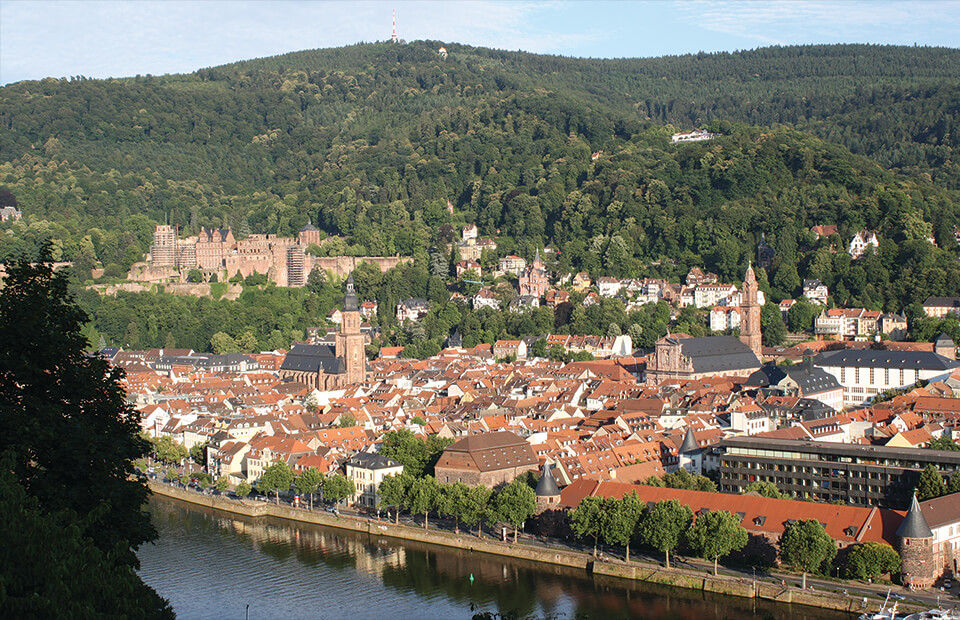 Company Erhard Stern Heidelberg